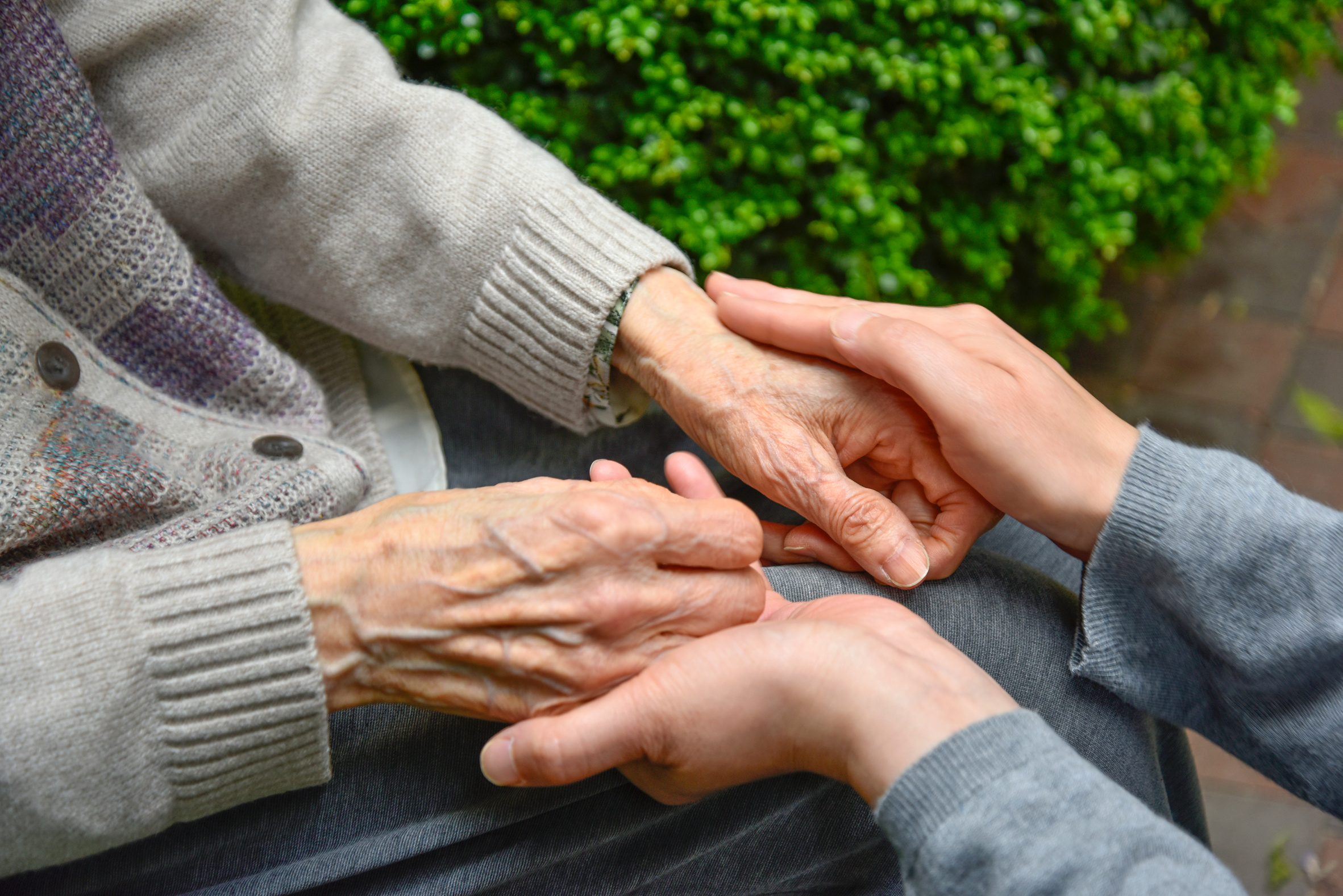 Touches the hands of an old woman - Concept of Elderly care